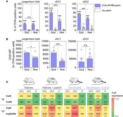 Pre-Existing Humoral Immunity Enhances Epicutaneously-Administered Allergen Capture by Skin DC and Their Migration to Local Lymph Nodes